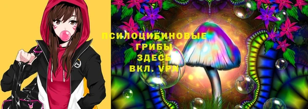 гашик Алзамай
